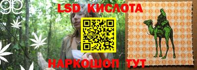 ПСИЛОЦИБИНОВЫЕ ГРИБЫ Кунгур